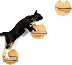 キャットウォークで遊ぶ猫