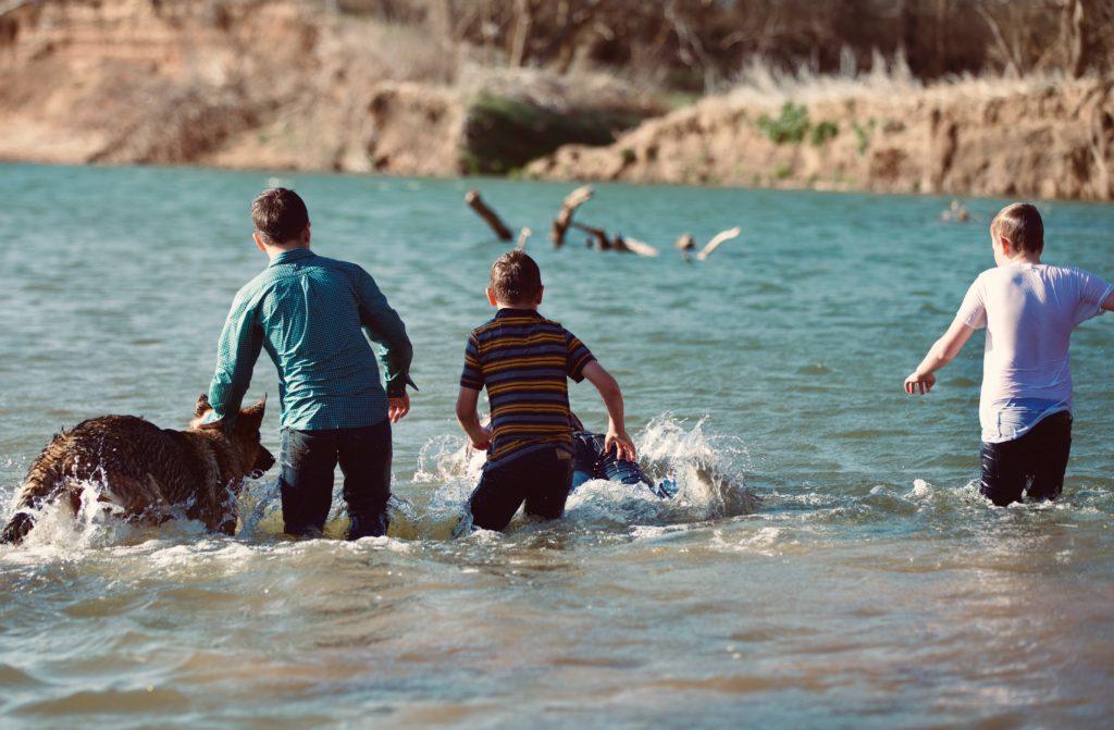 犬と川遊びをする3人の少年
