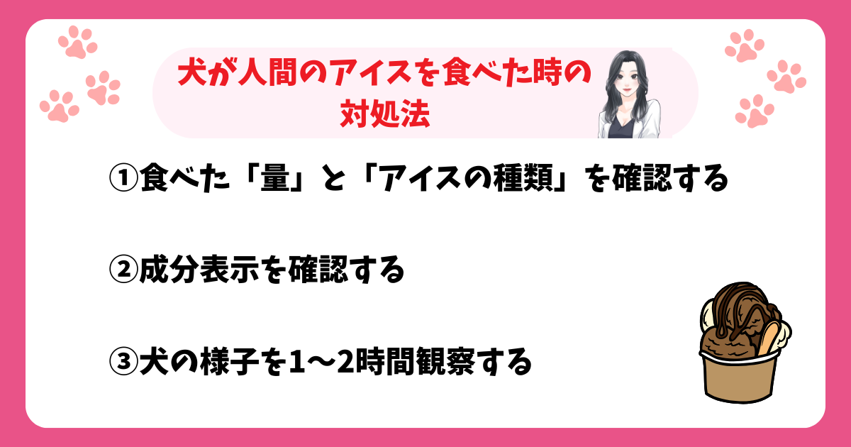 犬がアイスを食べた時の対処法