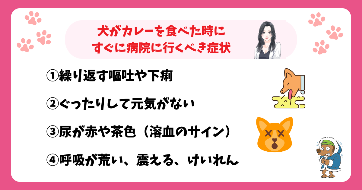 犬がカレーを食べた時にすぐに病院に行くべき症状