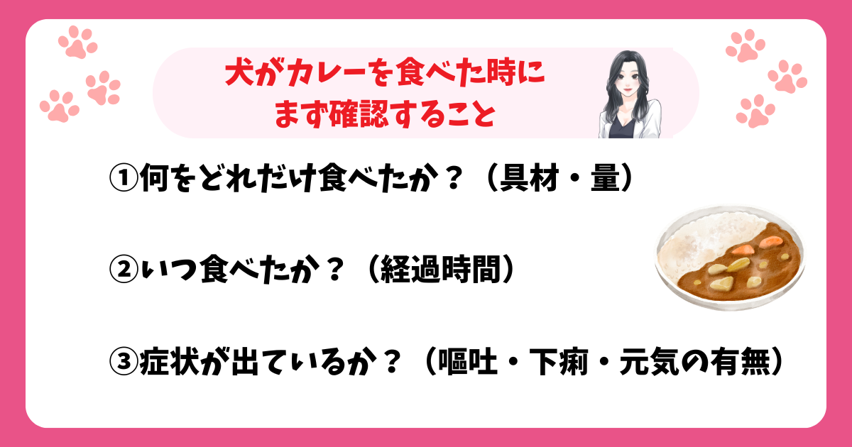 犬がカレーを食べた時にまず確認すること