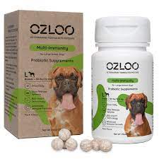 OZLOOの乳酸菌サプリメント
