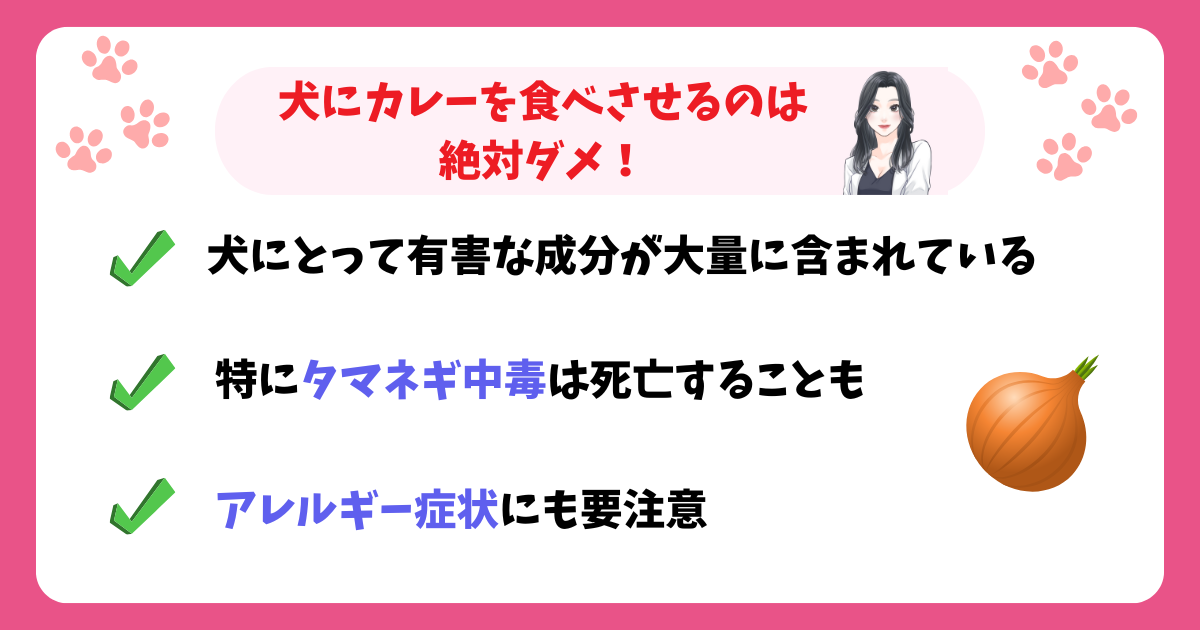 犬にカレーを食べさせるのは絶対ダメ！