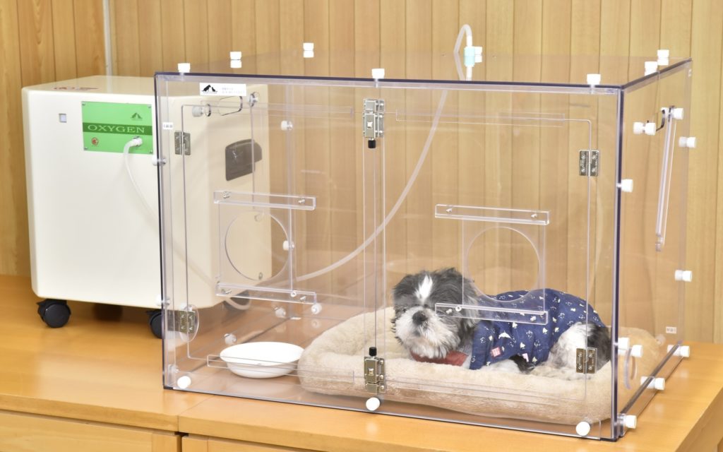 犬の酸素室の設置方法と使い方