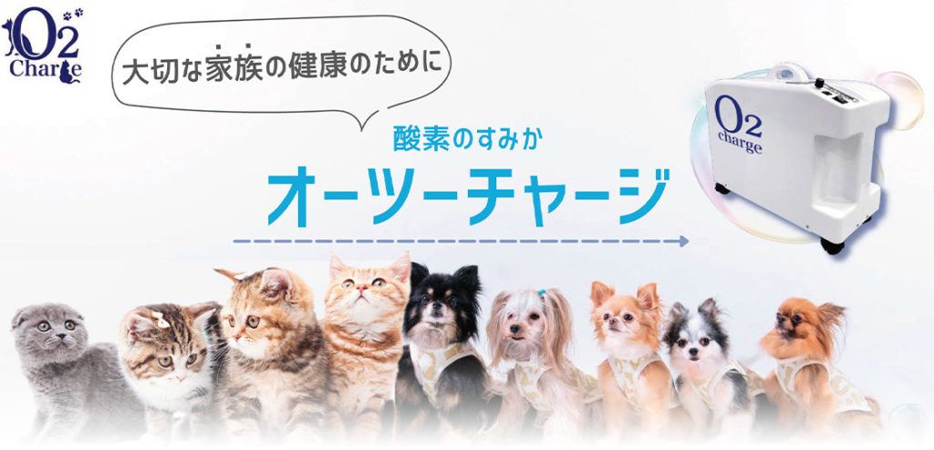 【犬と猫の酸素室】獣医師が一番オススメするレンタル会社
