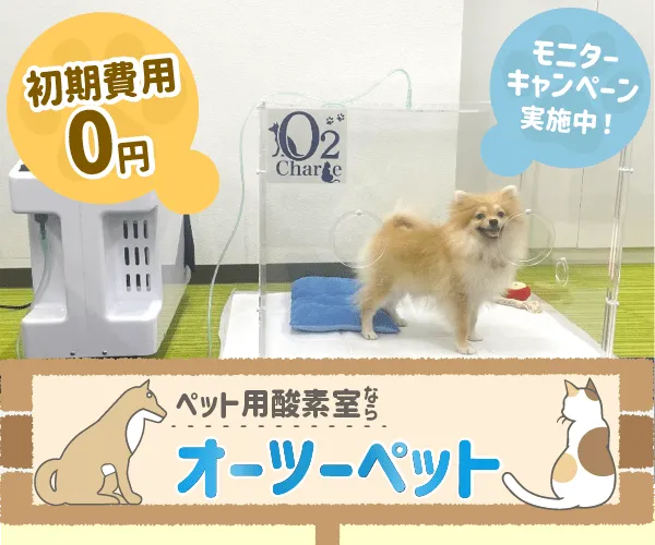 犬の酸素室で一番安いレンタル会社
