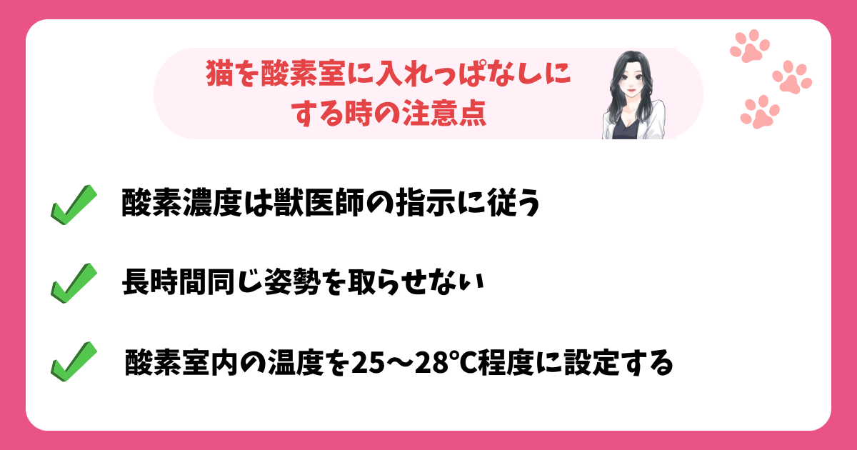 猫を酸素室に入れっぱなしにする時の注意点