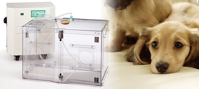 犬のオススメ酸素室