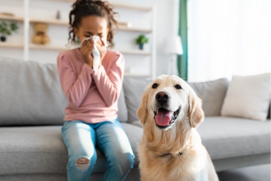 動物アレルギーの子供と犬