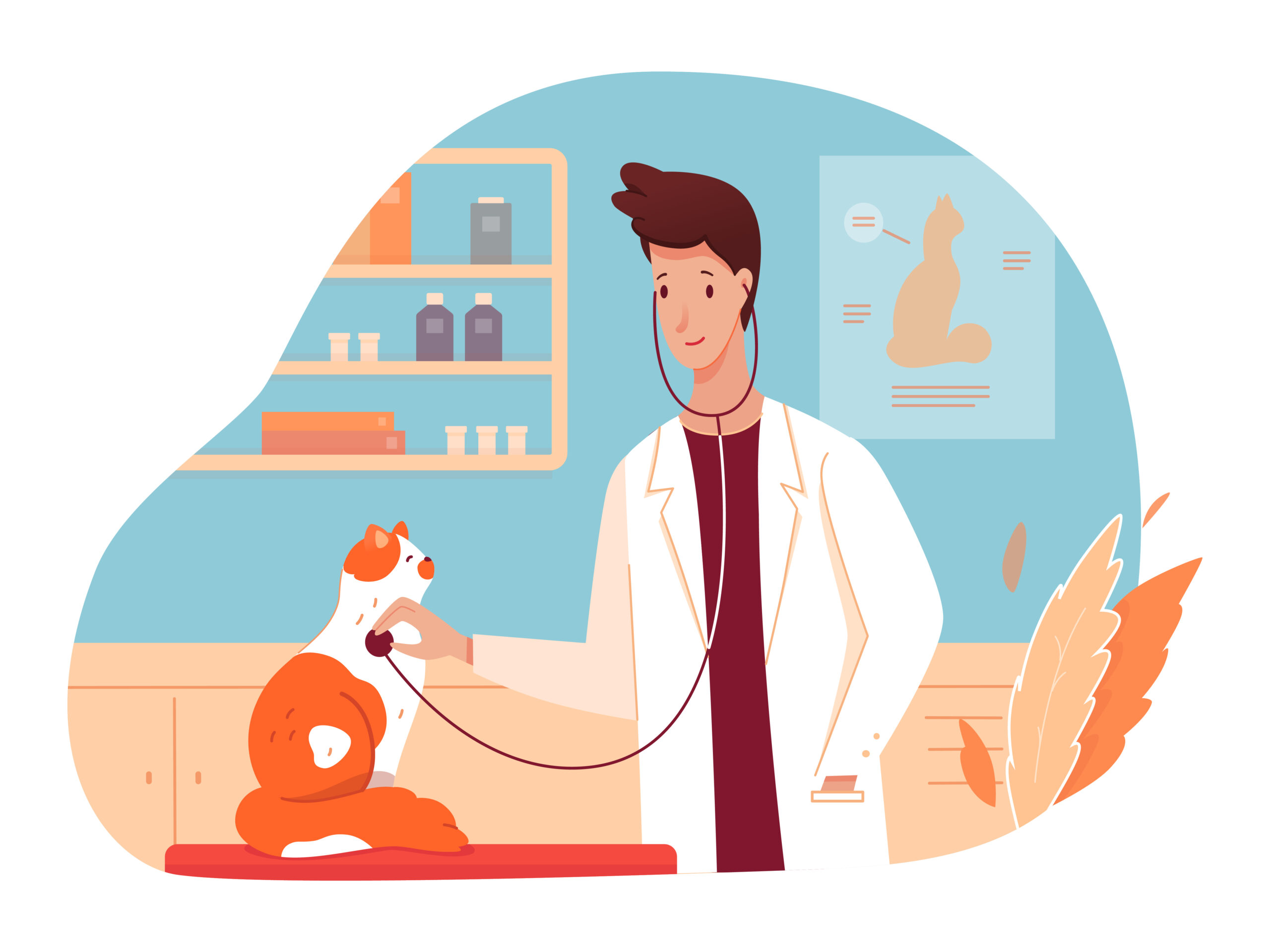 猫の診療をする獣医師