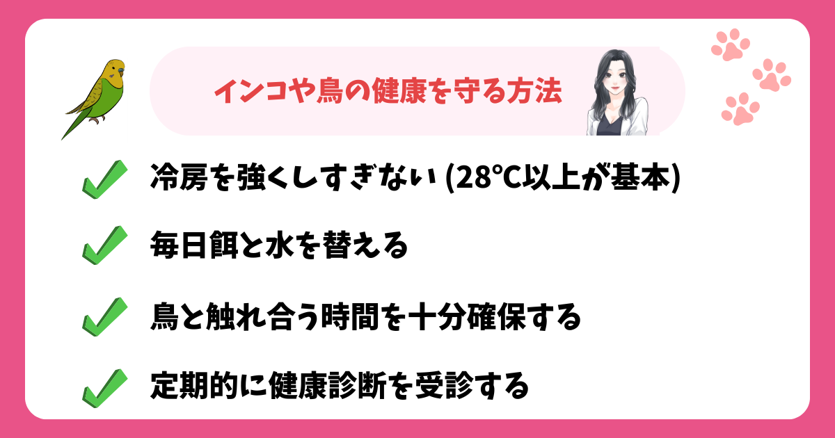 インコや鳥の健康を守る方法