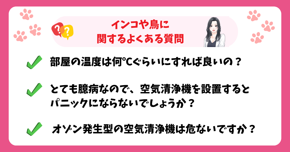 インコや鳥に関するよくある質問