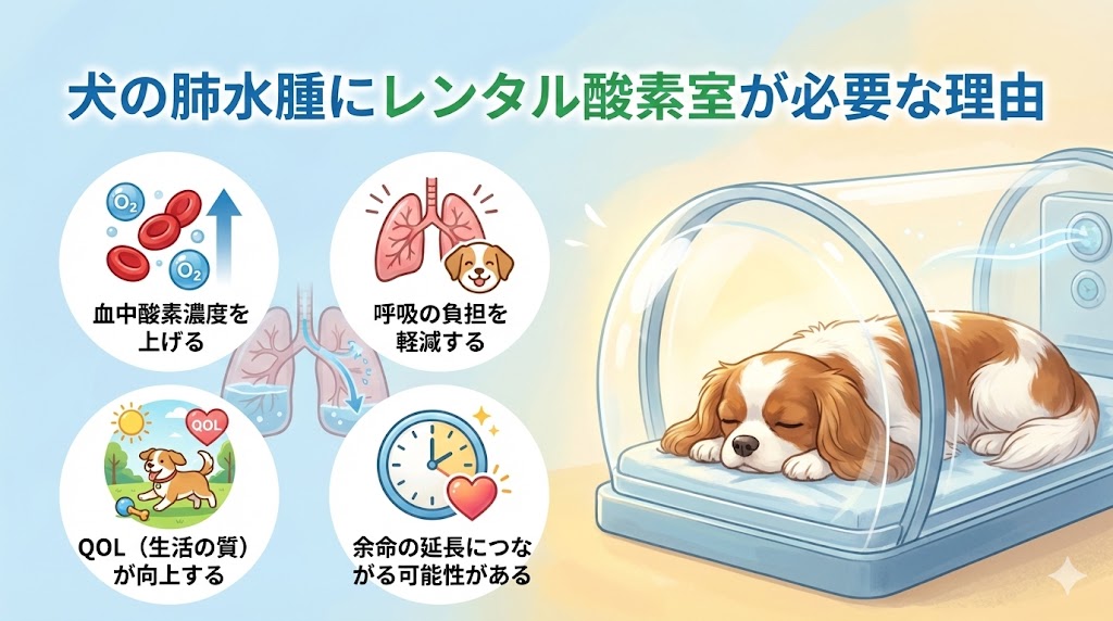 犬の肺水腫にレンタル酸素室が必要な理由