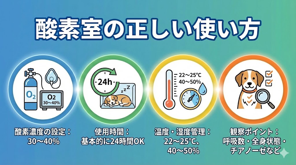 犬のレンタル酸素室の正しい使い方