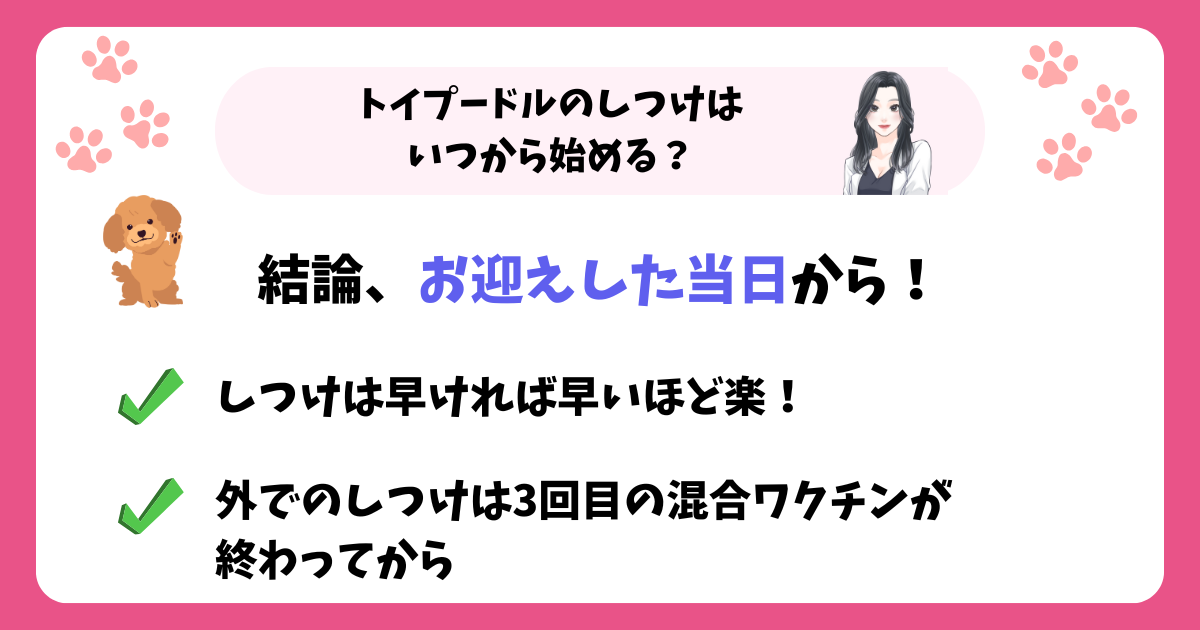 トイプードルのしつけはいつから始める?