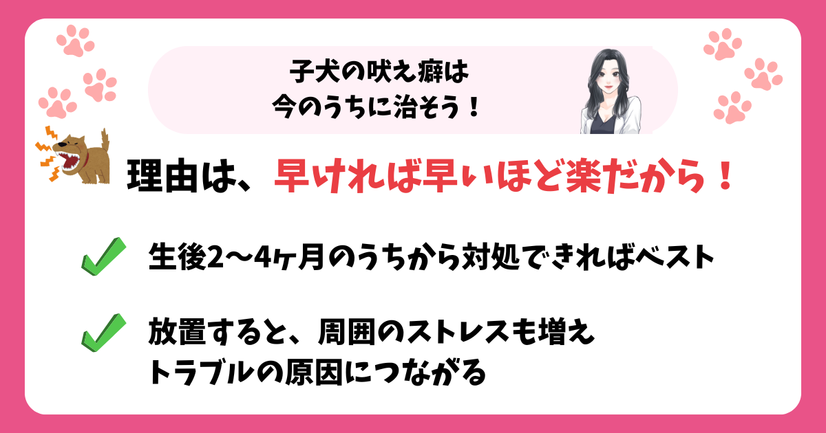 子犬の吠え癖は今のうちに治そう!