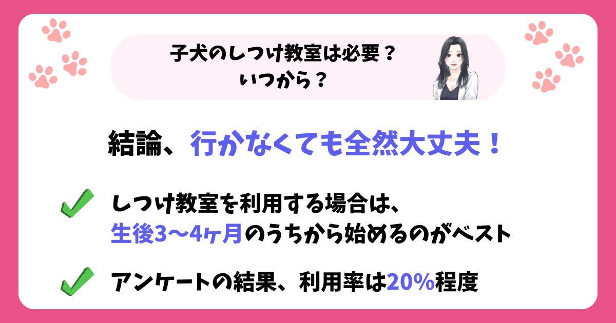 子犬のしつけ教室は必要？いつから？