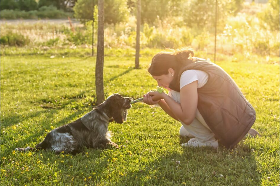 子犬をしつける女性