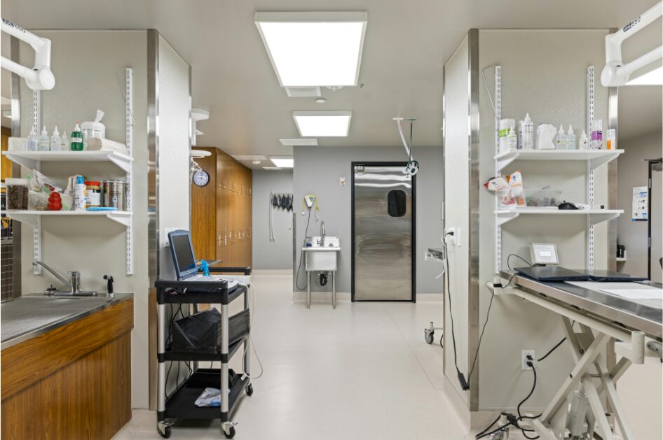 大学病院での獣医師の働き方