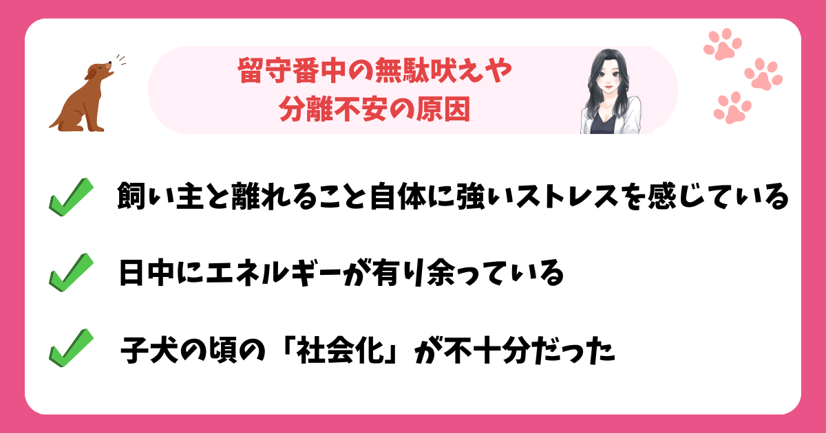留守番中の無駄吠えや分離不安の原因