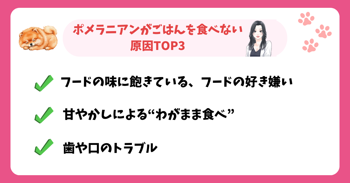 ポメラニアンがごはんを食べない時の原因と対処法