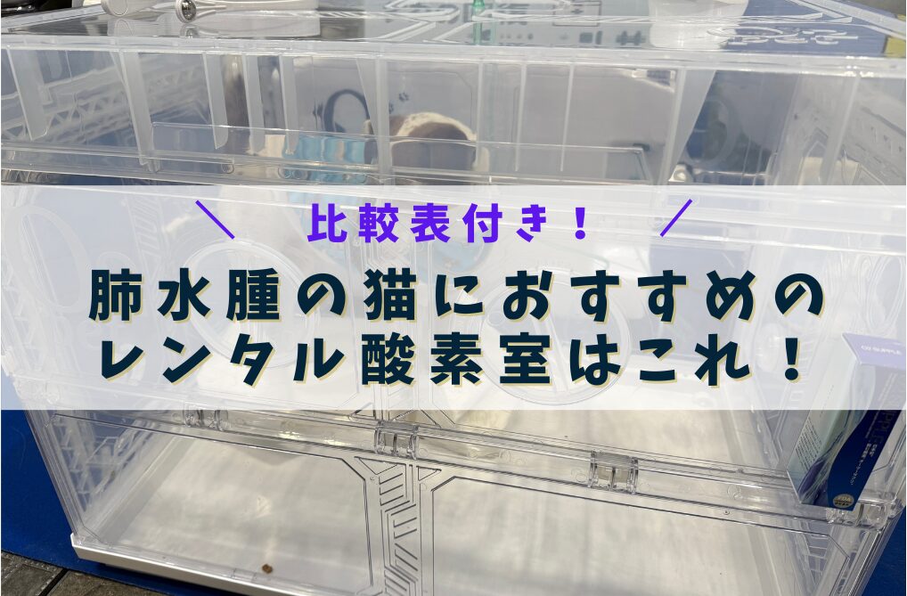 【比較表付き】肺水腫の猫におすすめのレンタル酸素室